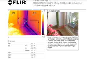 badanie termowizyjne raport kurs